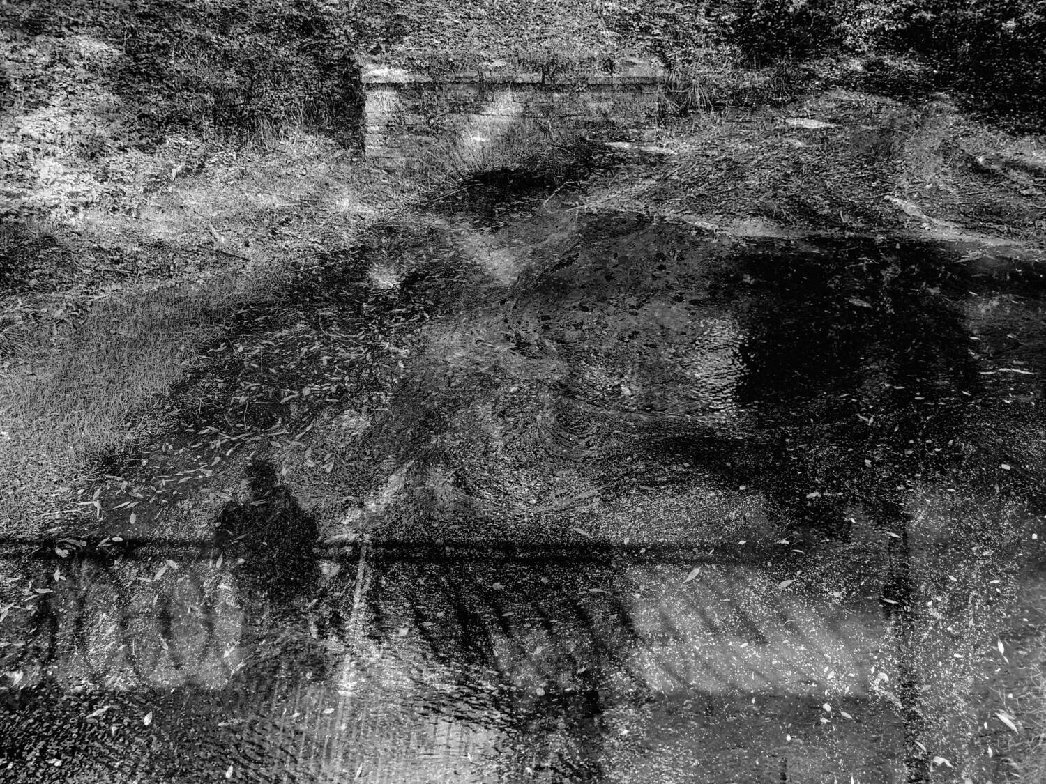 , Антон Лаба