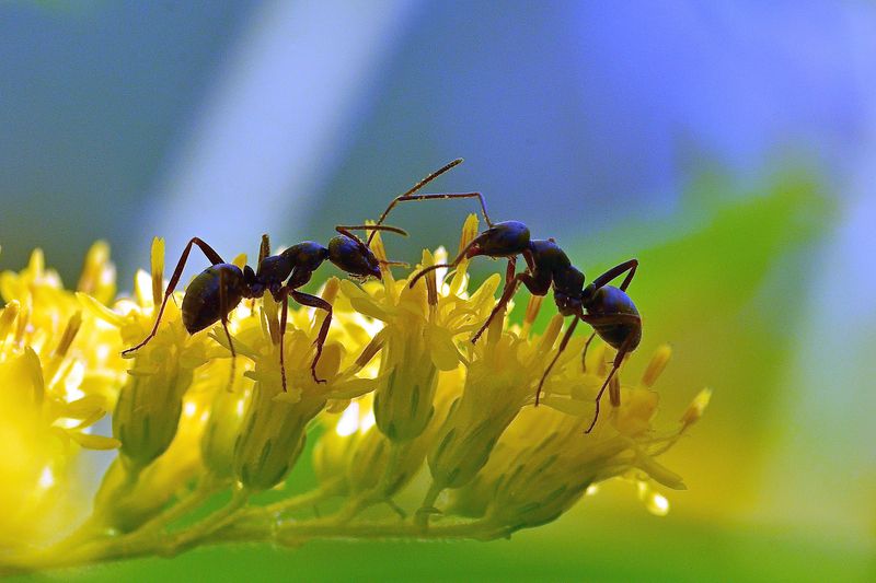 Meeting.. фото превью