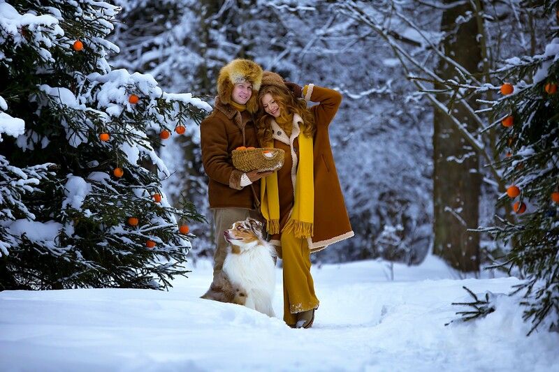 Пара, лес, зима, мандарины, собака, снег, ёлки Маленькие радости фото превью