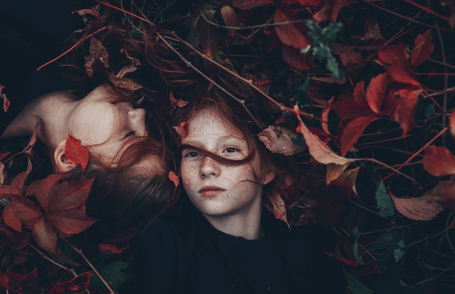 35mm, 4x5, 6x6, 6х6, 85mm, Art, Artnude, Ballerina, Ballet, Battur, Beautiful, Beauty, Canon, Canon 5D Mark III, Car, Color, Dance, Dress, Emotion, Eyes, Face, Flowers, Ganzo, Genre, GirlHair, Hero,LightLilac, Model, Mongol, Mongolia, Вероника Гергерт