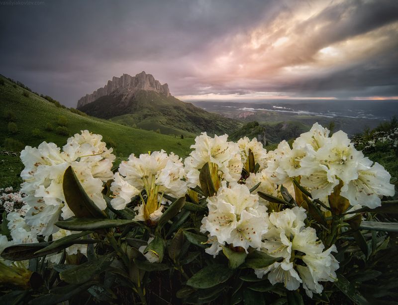 тхач, большой тхач, фототур, яковлевфототур, кавказ, адыгея Большой Тхач фото превью