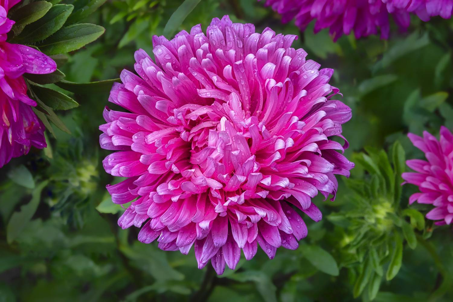 , Ушаков Валерий