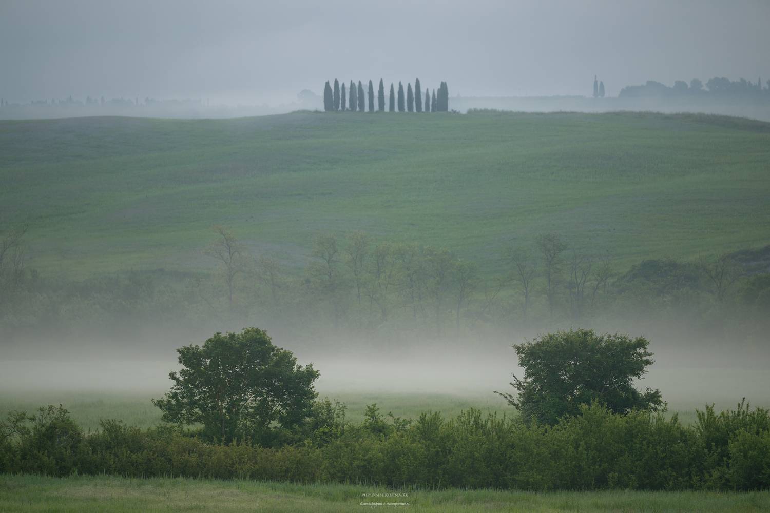 Тоскана, туман, италия, утро, кипарисы, пейзаж, Александр Константинов