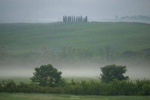 Утро туманное