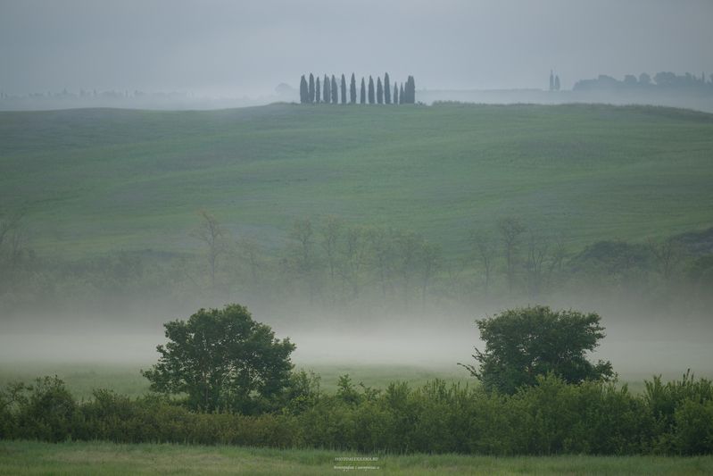 Тоскана, туман, италия, утро, кипарисы, пейзаж Утро туманное фото превью