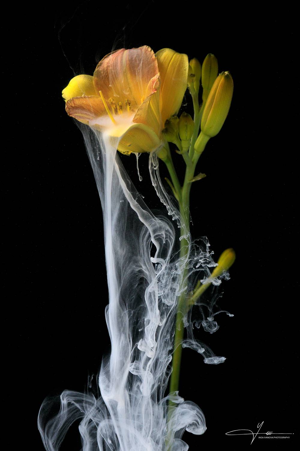 ,  Inga Ivanova APCA, EPCA, EPCA/B, P IAAP