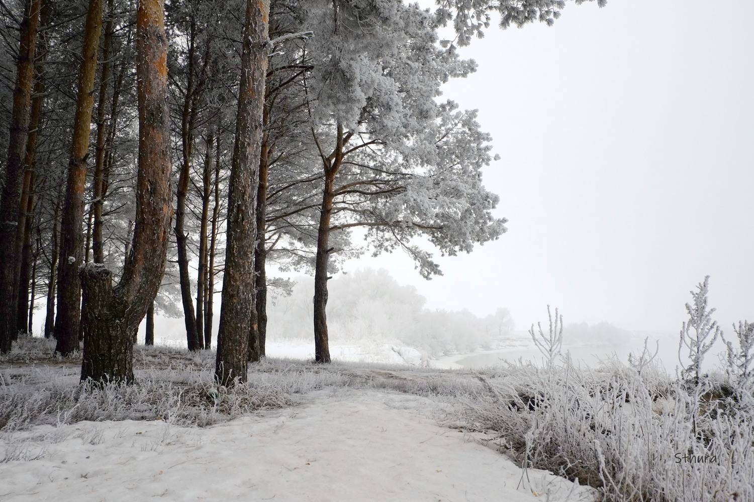 зима лес туман иней река природа пейзаж, Александр Строков