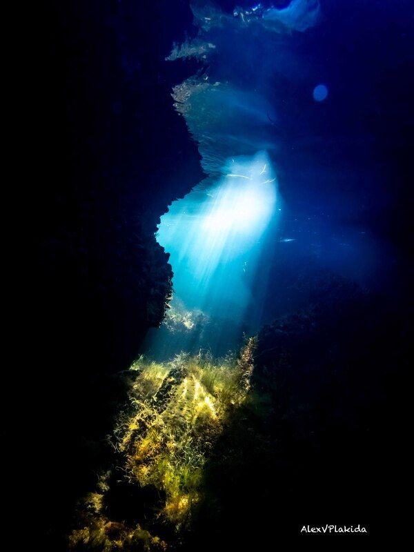 The light фото превью