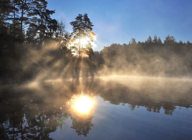Август. Утро. фото превью