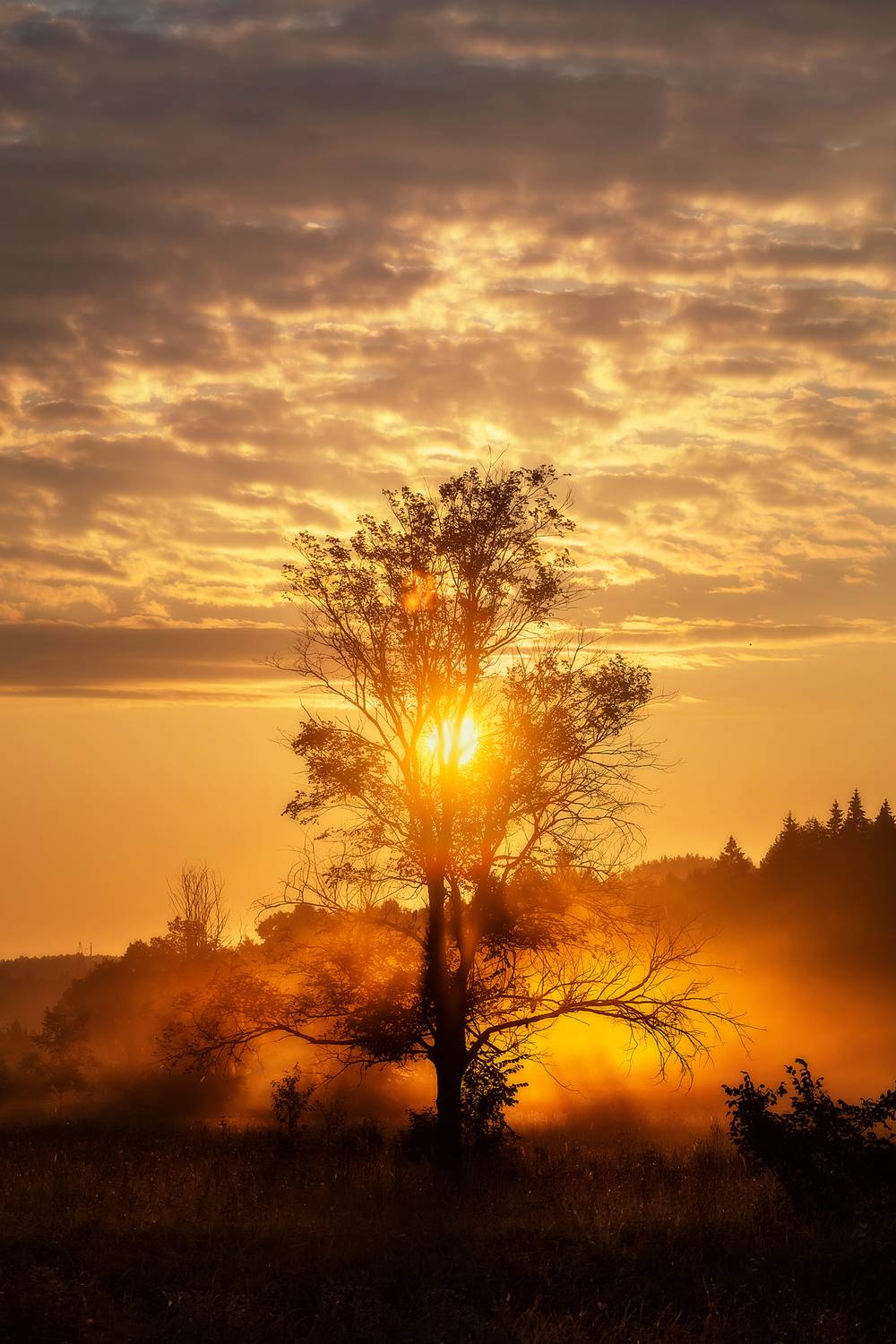 , Lozhkin Vyacheslav