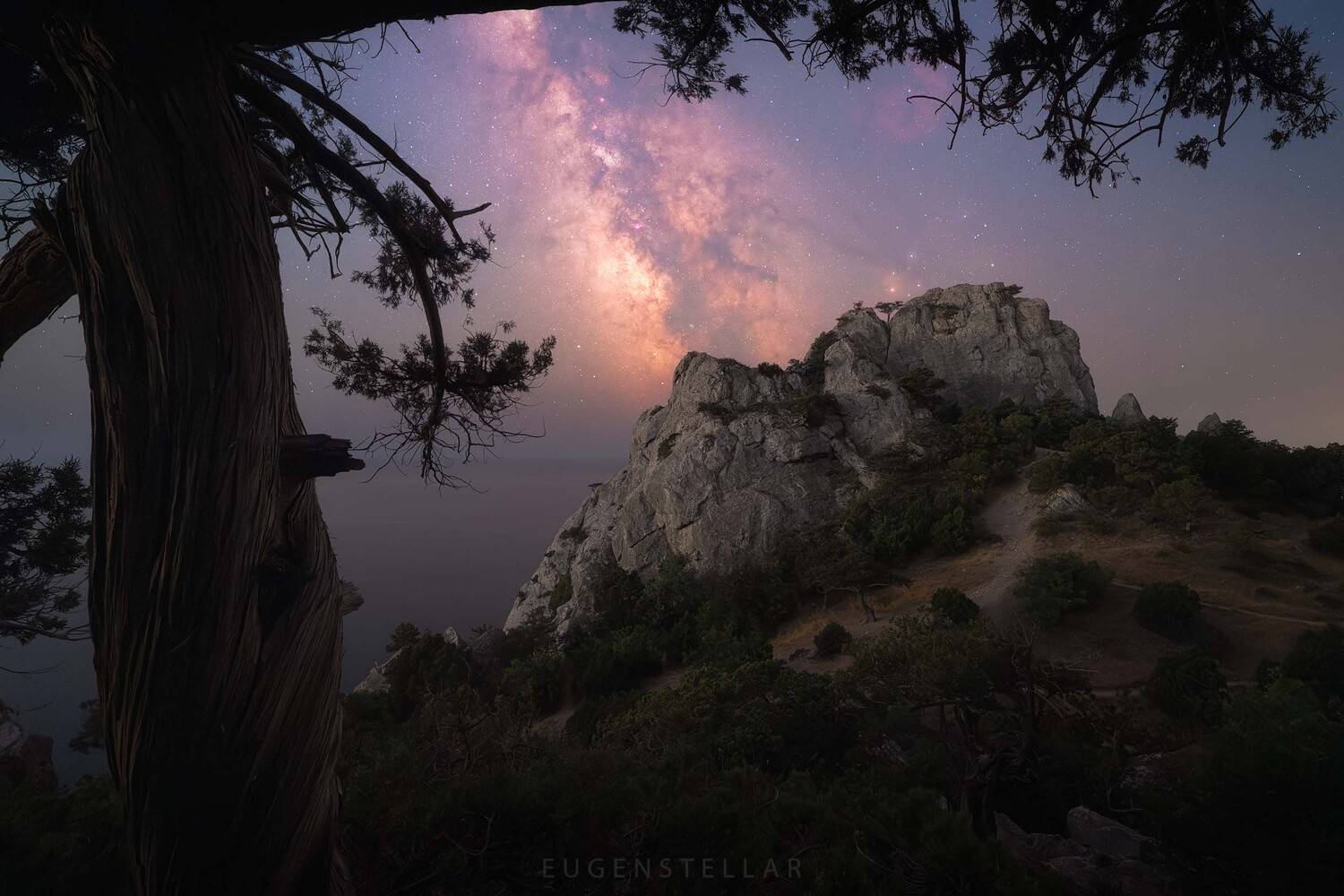 ночь, млечный путь, можжевельник, море, горы, звезды, крым, скалы, астропейзаж, новый свет, Женя Зайцев