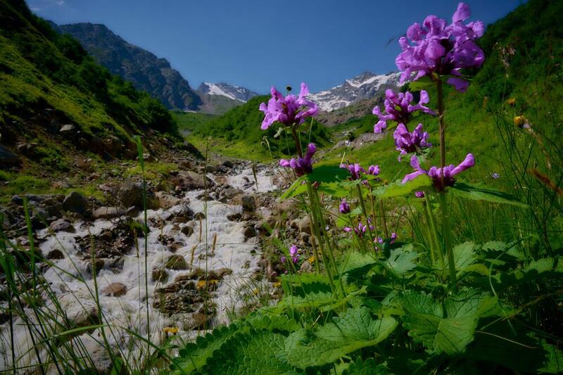 Сказочная Дигория (из серии). фото превью