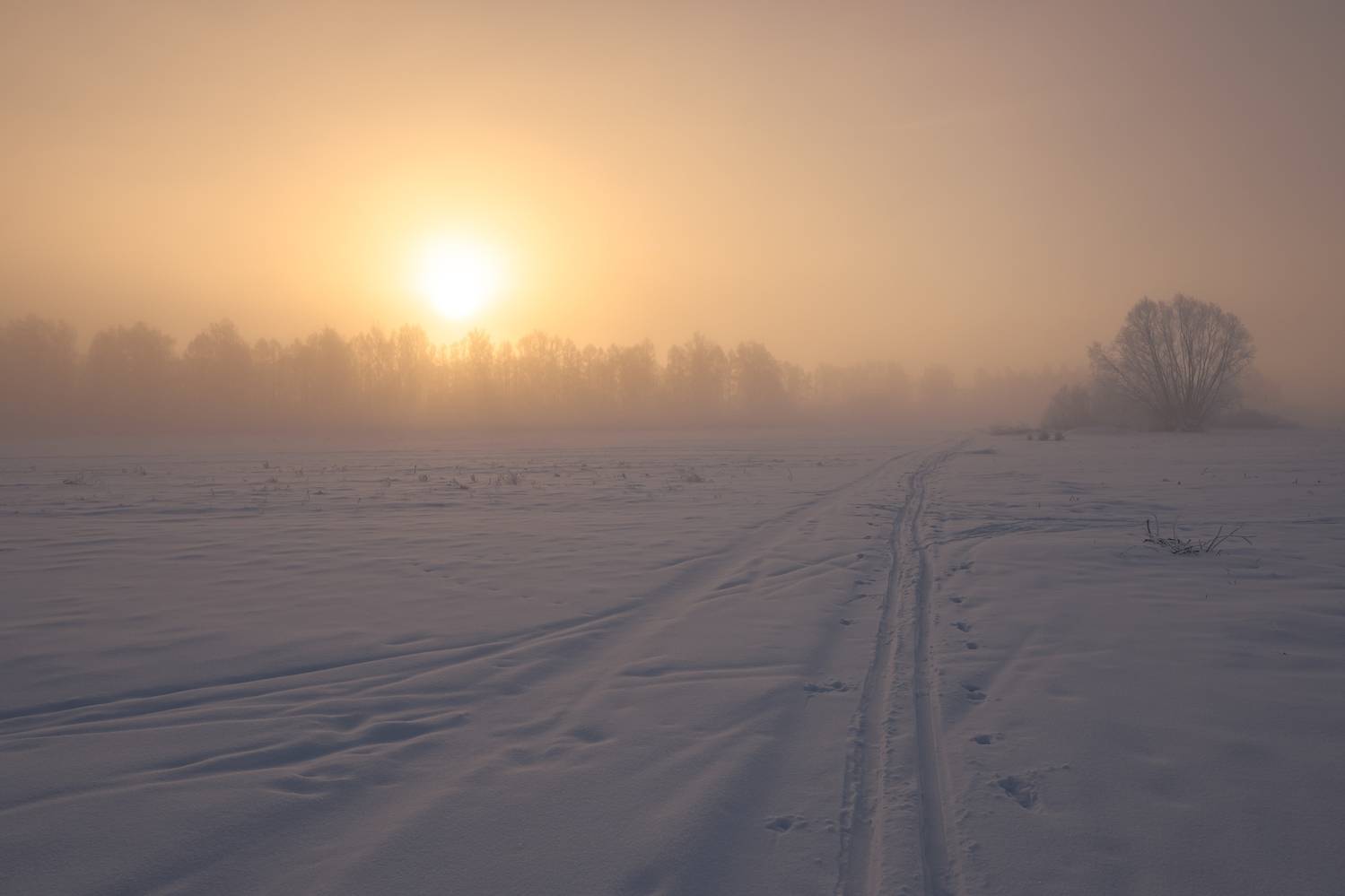 , Григорьев Константин
