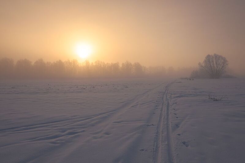 Туманное февральское утро фото превью