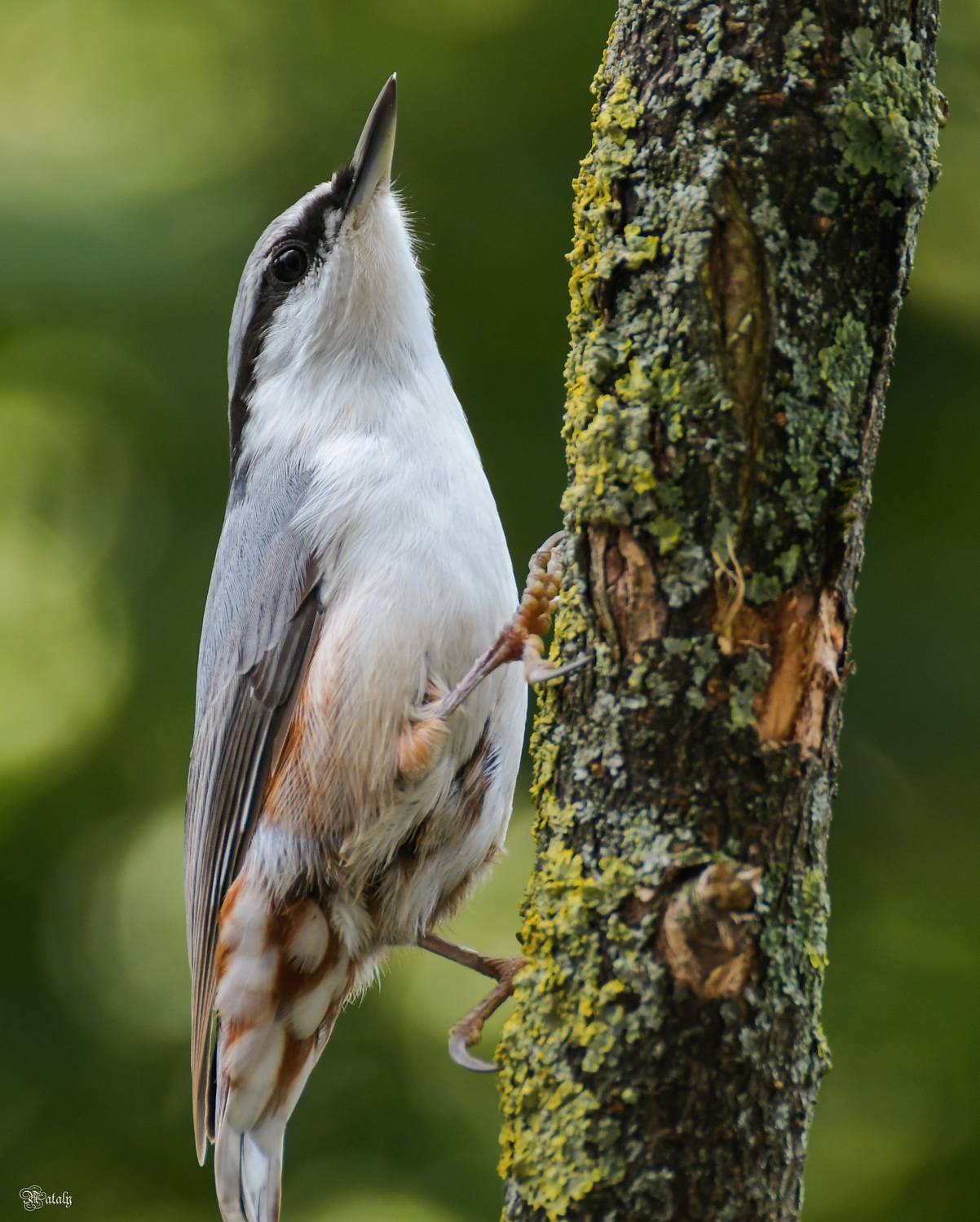 , Наталья Екимова