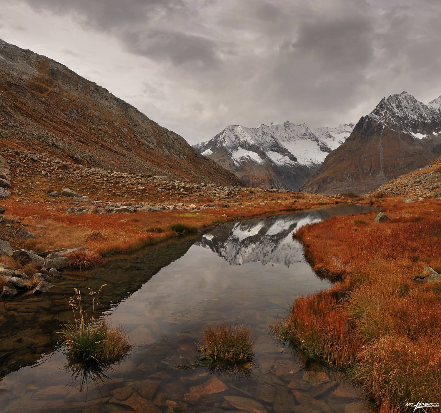 swiss, Матвеев Николай