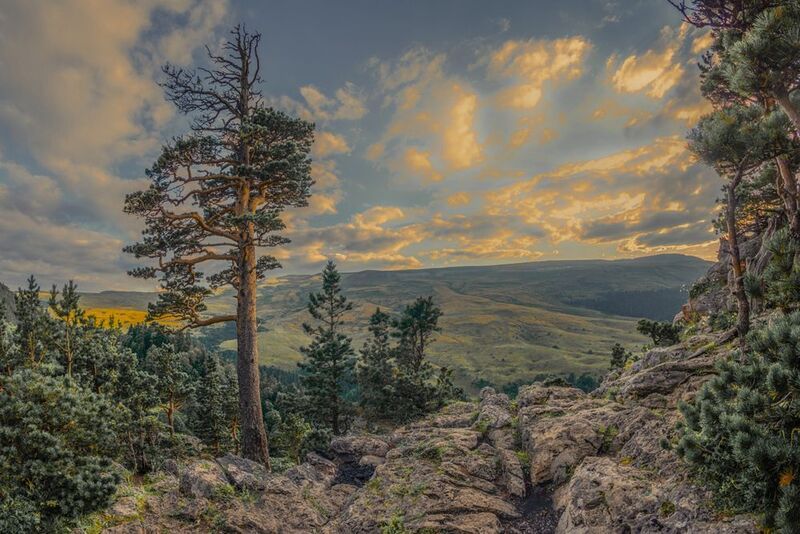 *** фото превью