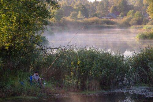В тишине утра