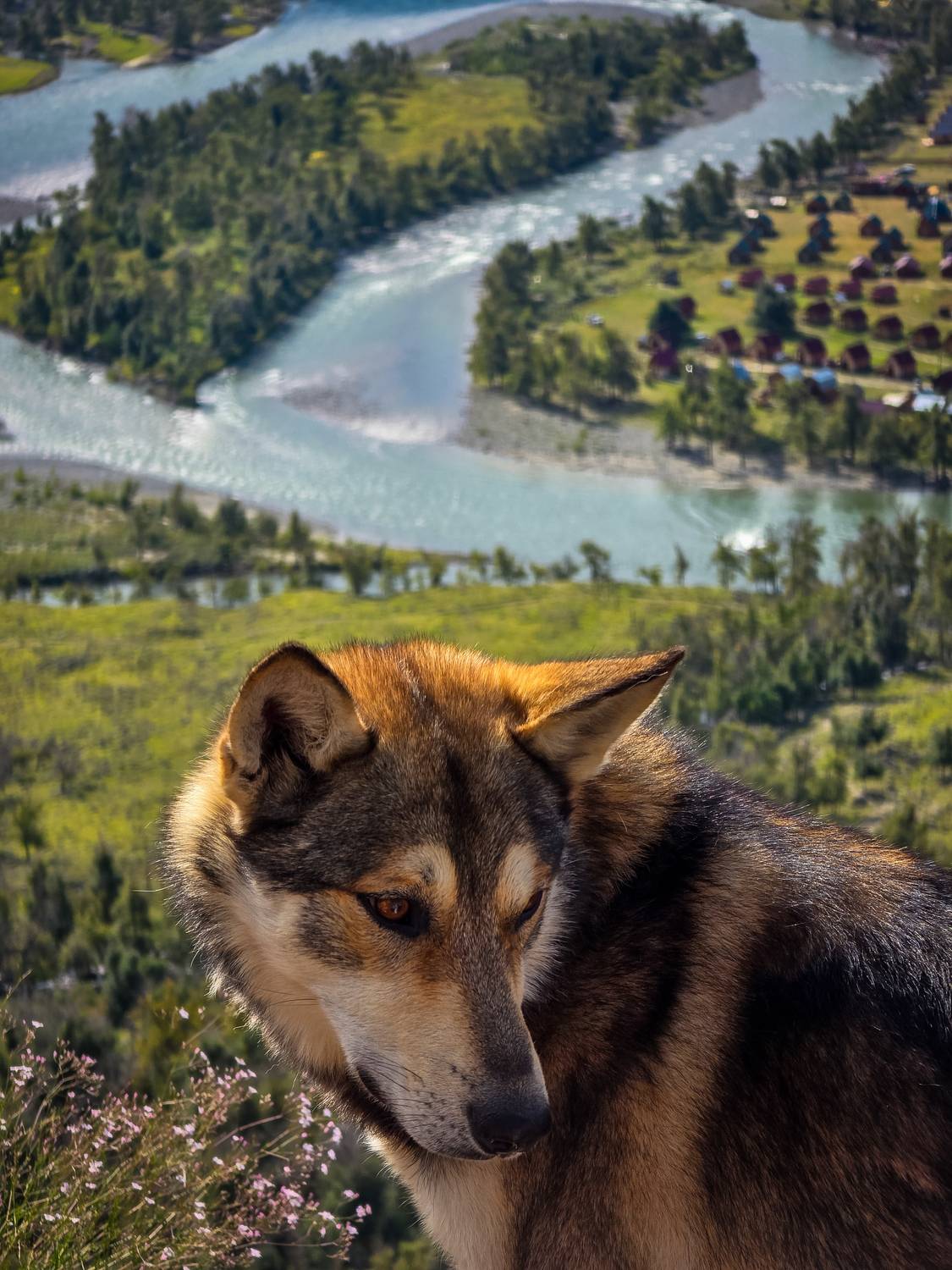 , Игорь Кабанов