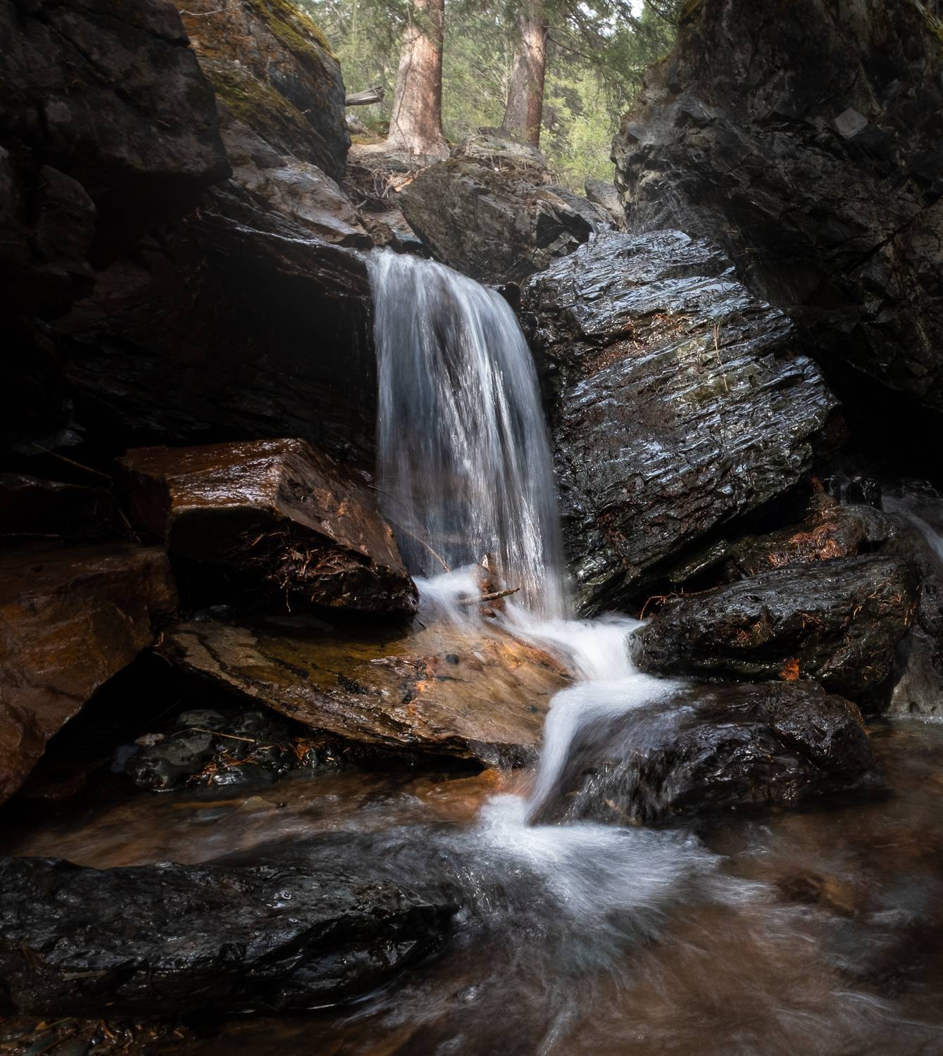 , Коротеев Вадим