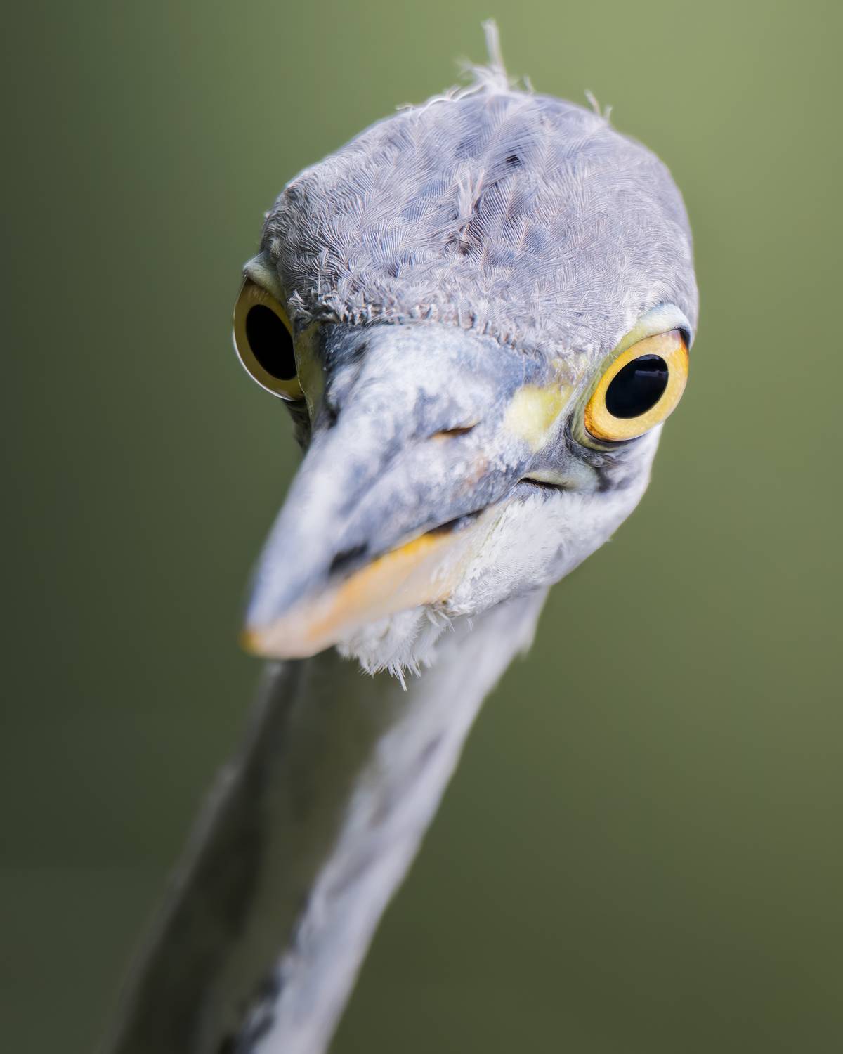 , Поляков Михаил