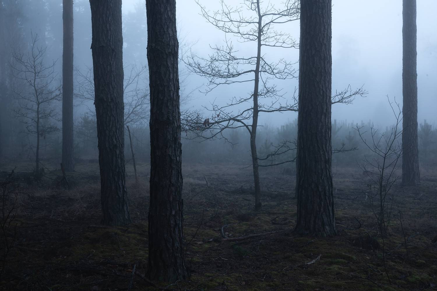 , Захаров Дмитрий