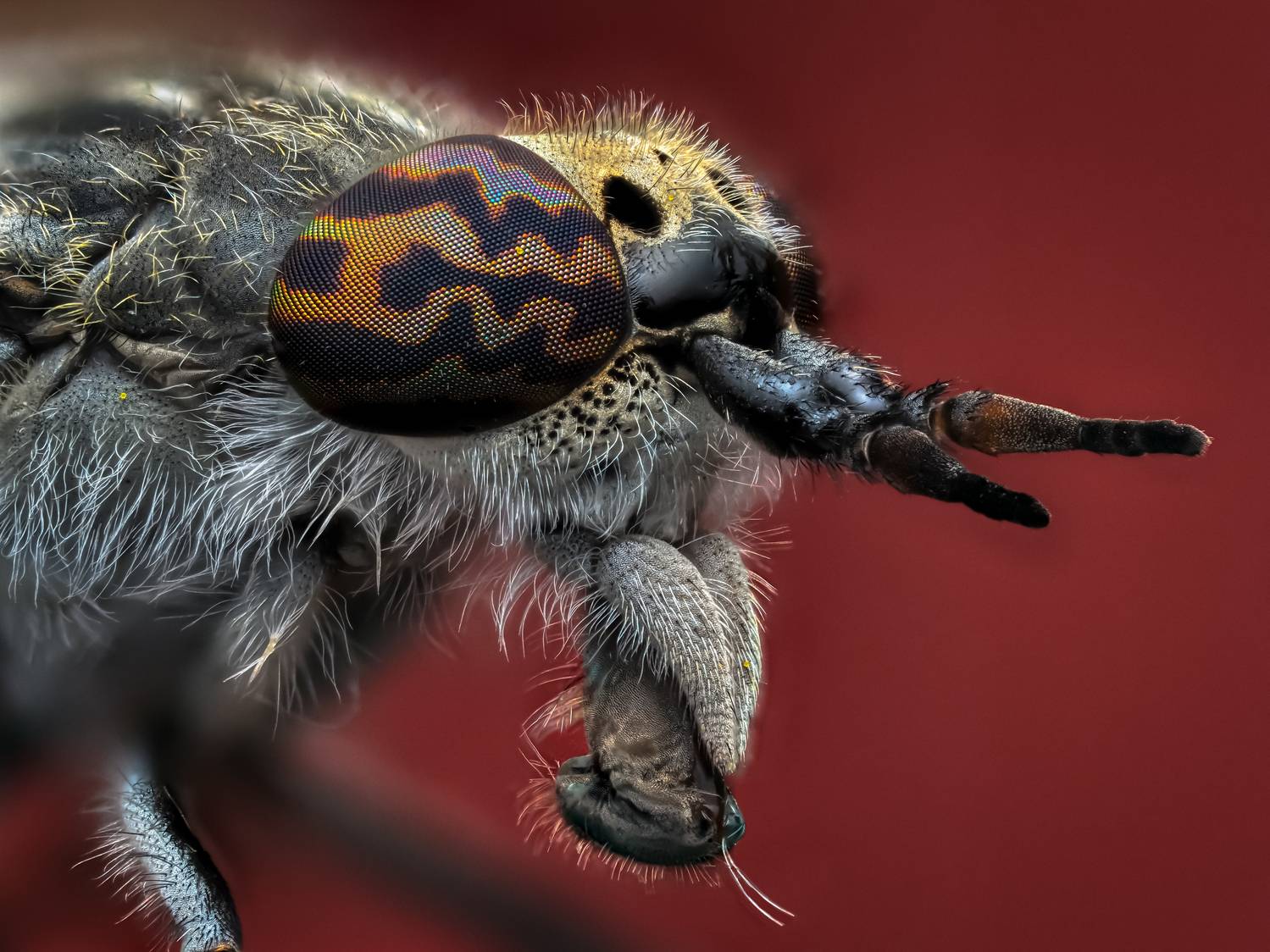 , Олег Савицкий