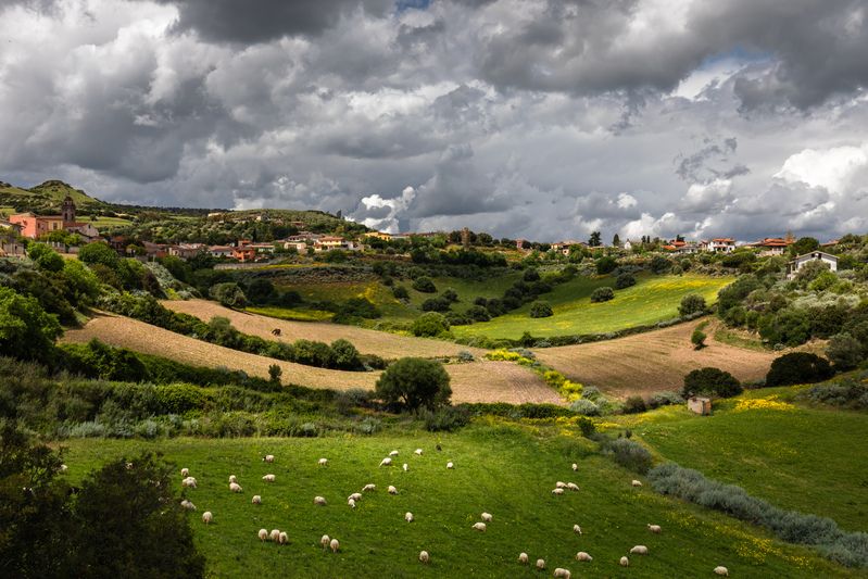 Sardinia фото превью