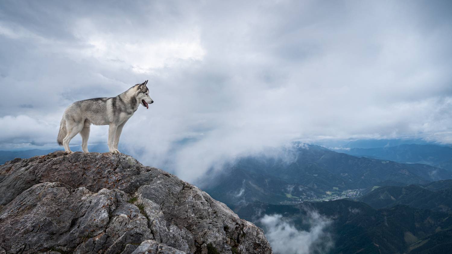 , Kriszti&aacute;n Csalami