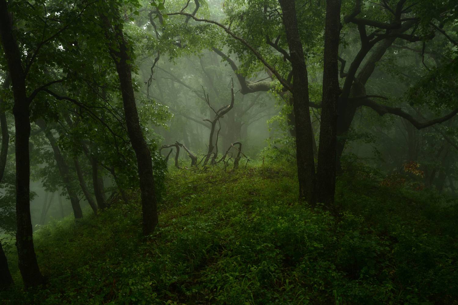 приморье, Едуш Сергей