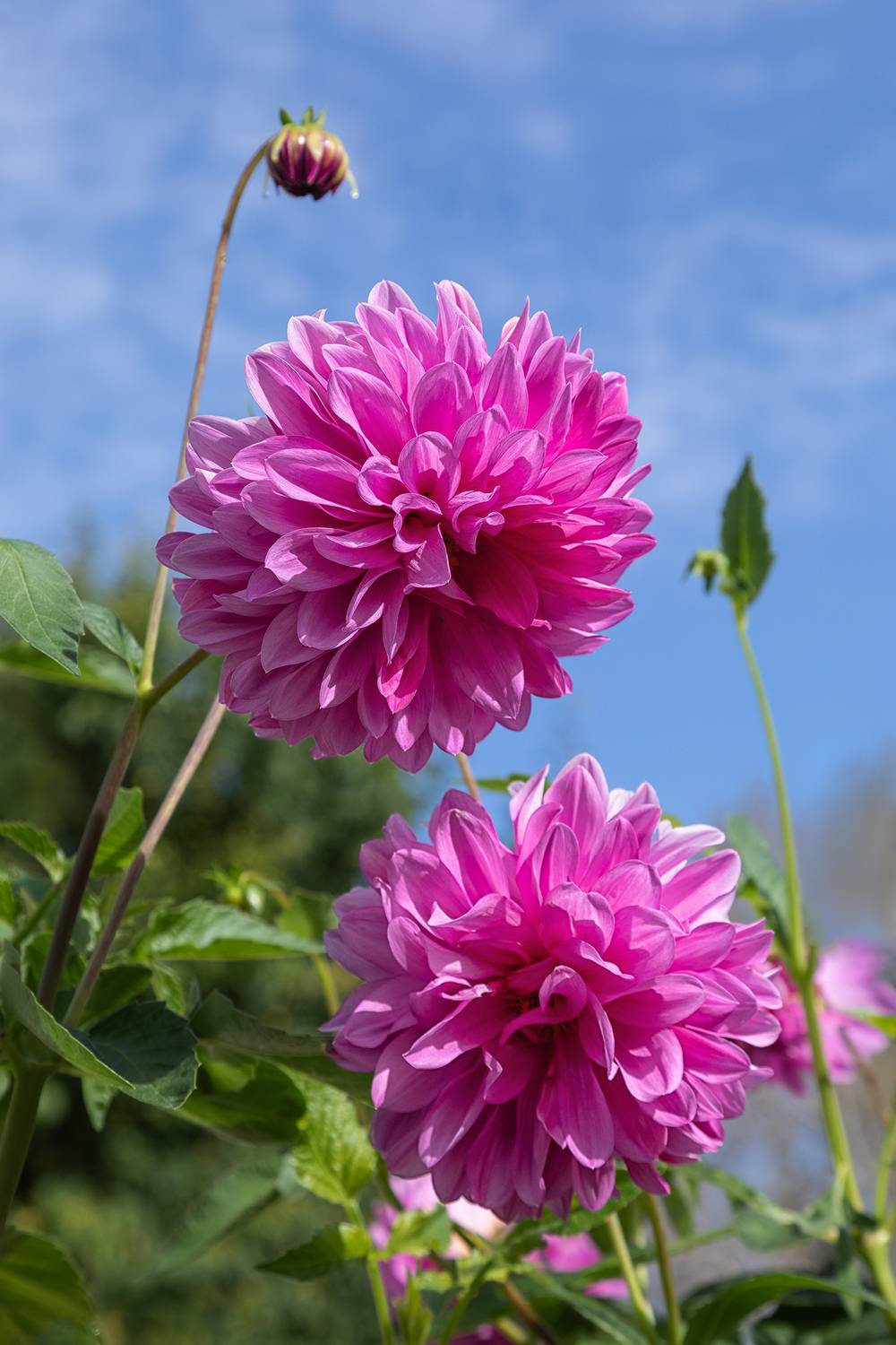 , Ушаков Валерий