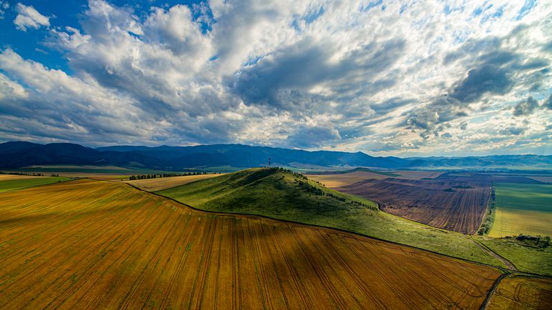 поля алтая Поля в предгорьях Алтая фото превью