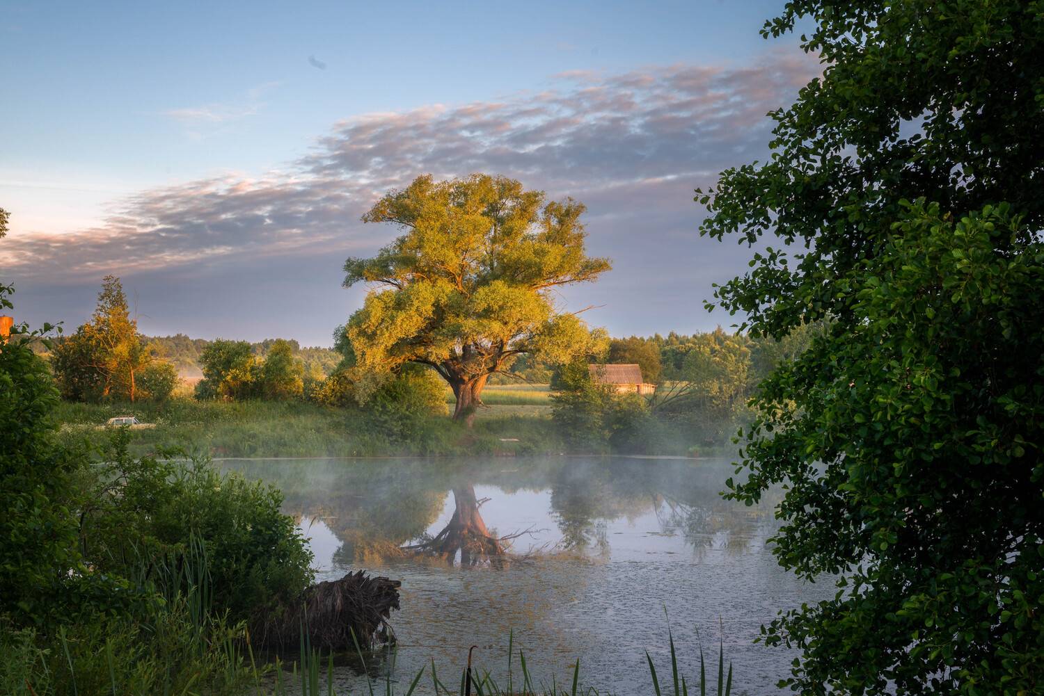 , Сережин Сережа