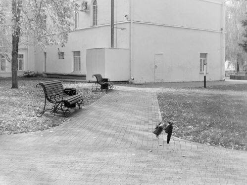 Последний из улетевших