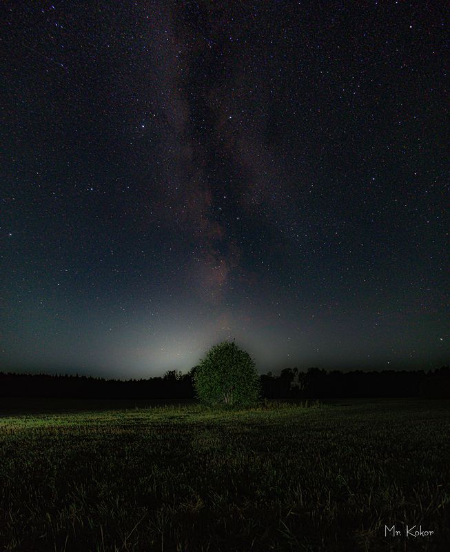 Безмолвное одиночество фото превью
