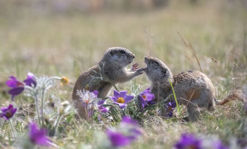 Зубки чистил? фото превью
