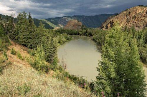 Чуя перед дождем