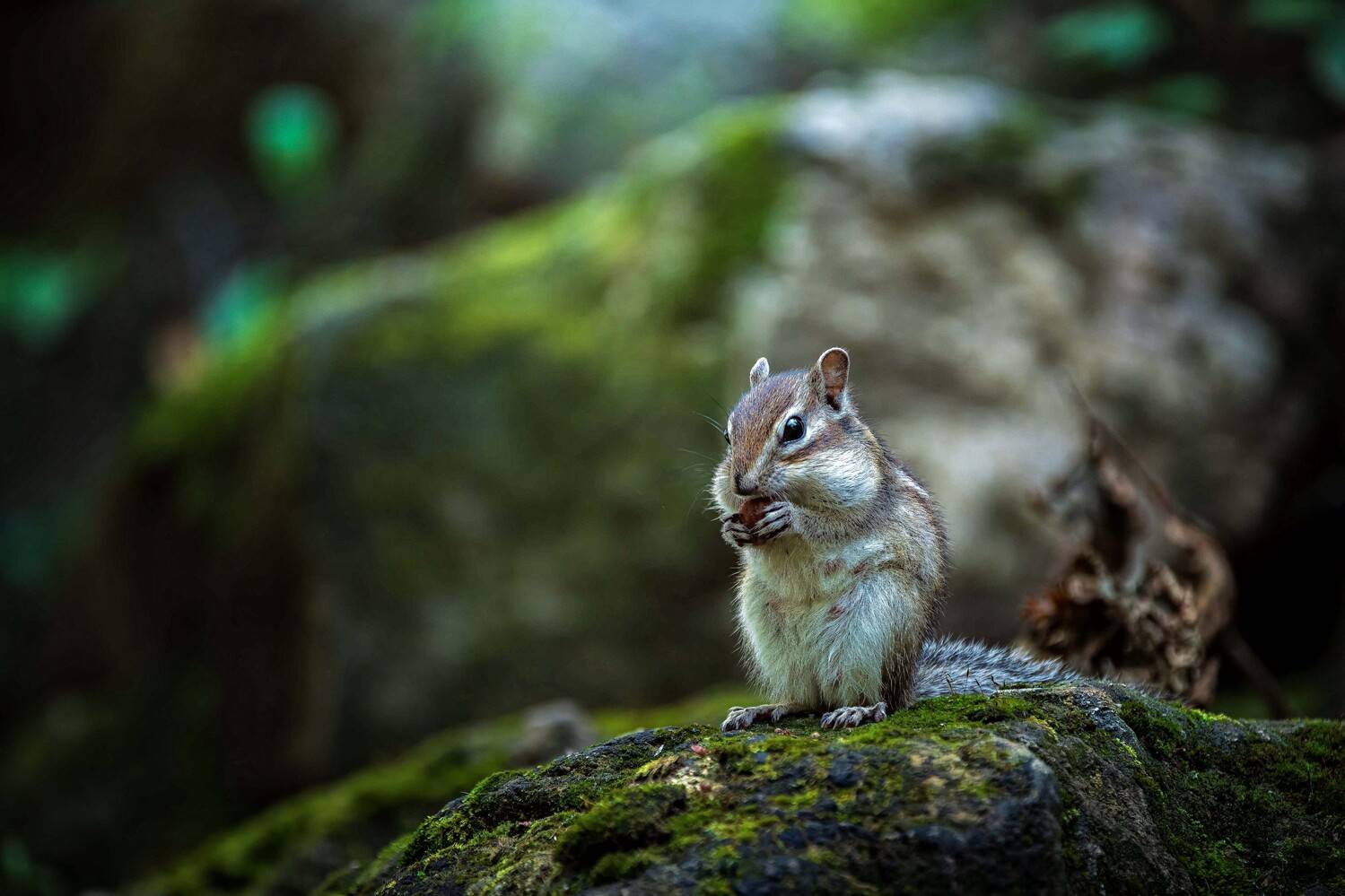 , Павел Ныриков