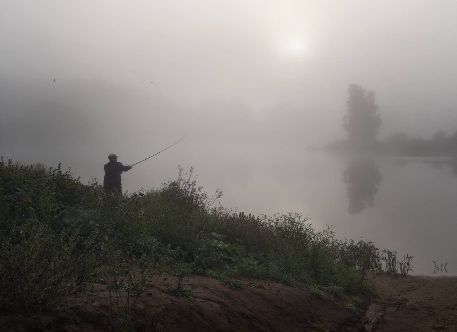 лес, свет, утро, природа рыбак, Баранов Олег