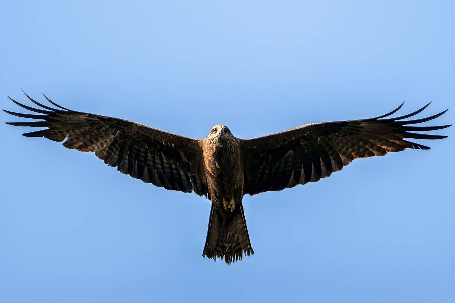 , Молодкин Дмитрий