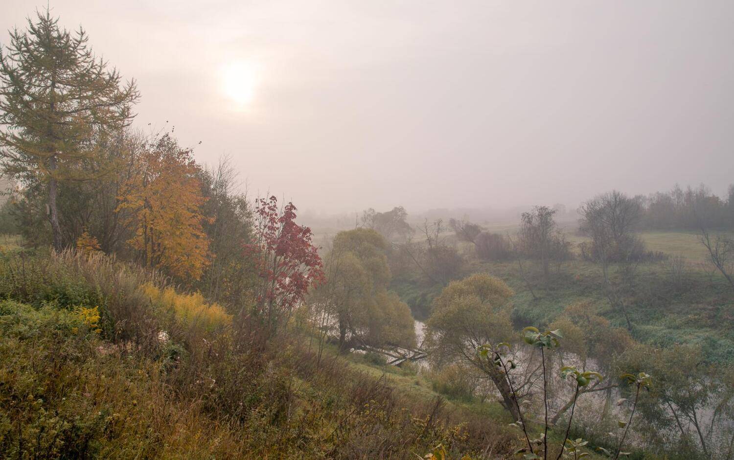 утро, над водой, туман, восход солнца, утренний свет,сентябрь, осень, каспля, смоленская область, россия, пейзаж, landskape, nature, river, fog, morning, dawn, Лидия Киприч