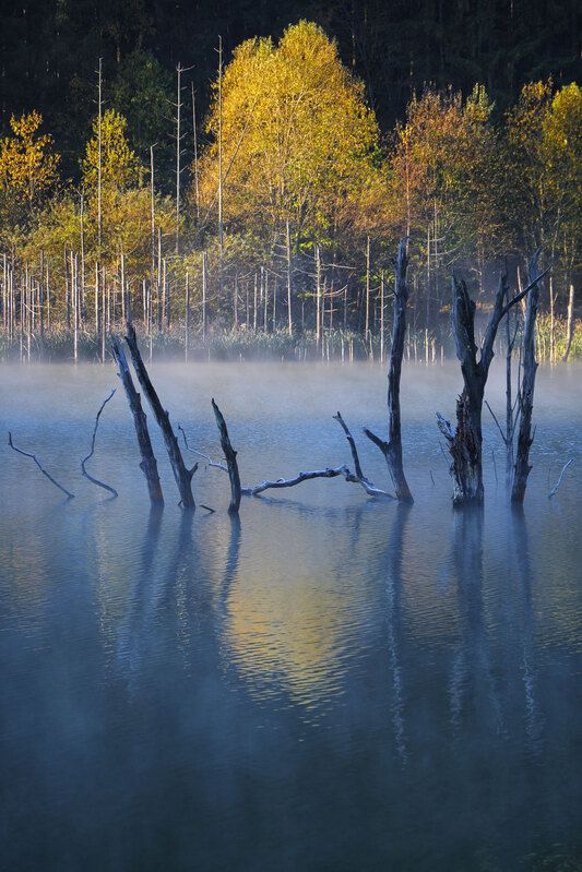 2024 фото превью