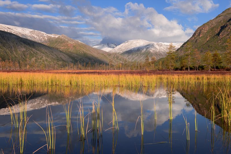 озеро джека лондона Спокойно сегодня на болотах... фото превью