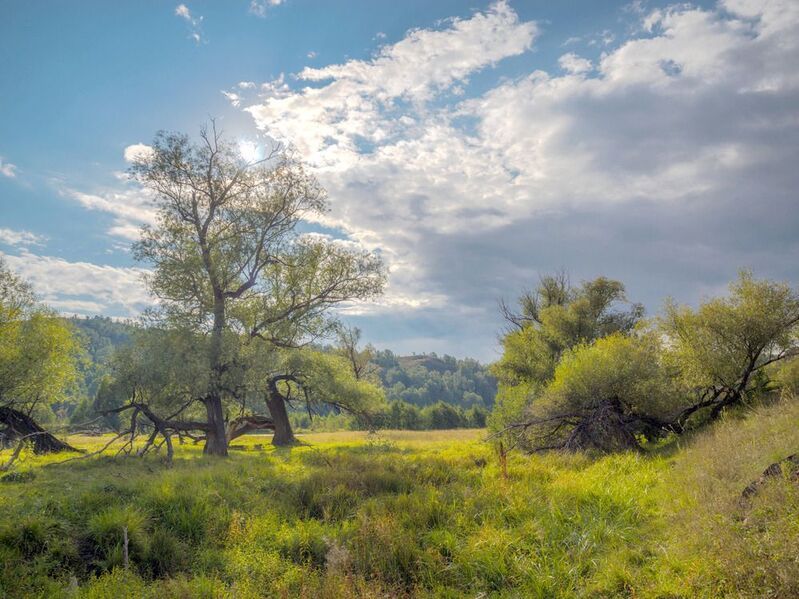 в пойме Большого Кизила фото превью