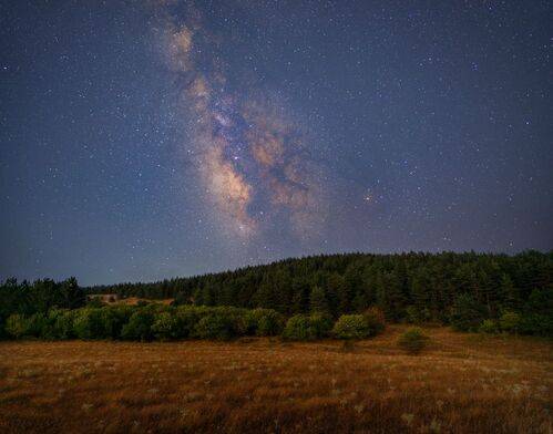 Milky Way Over Didgori Forests