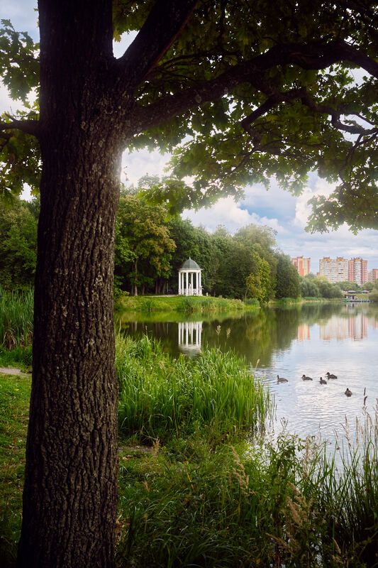 фото превью