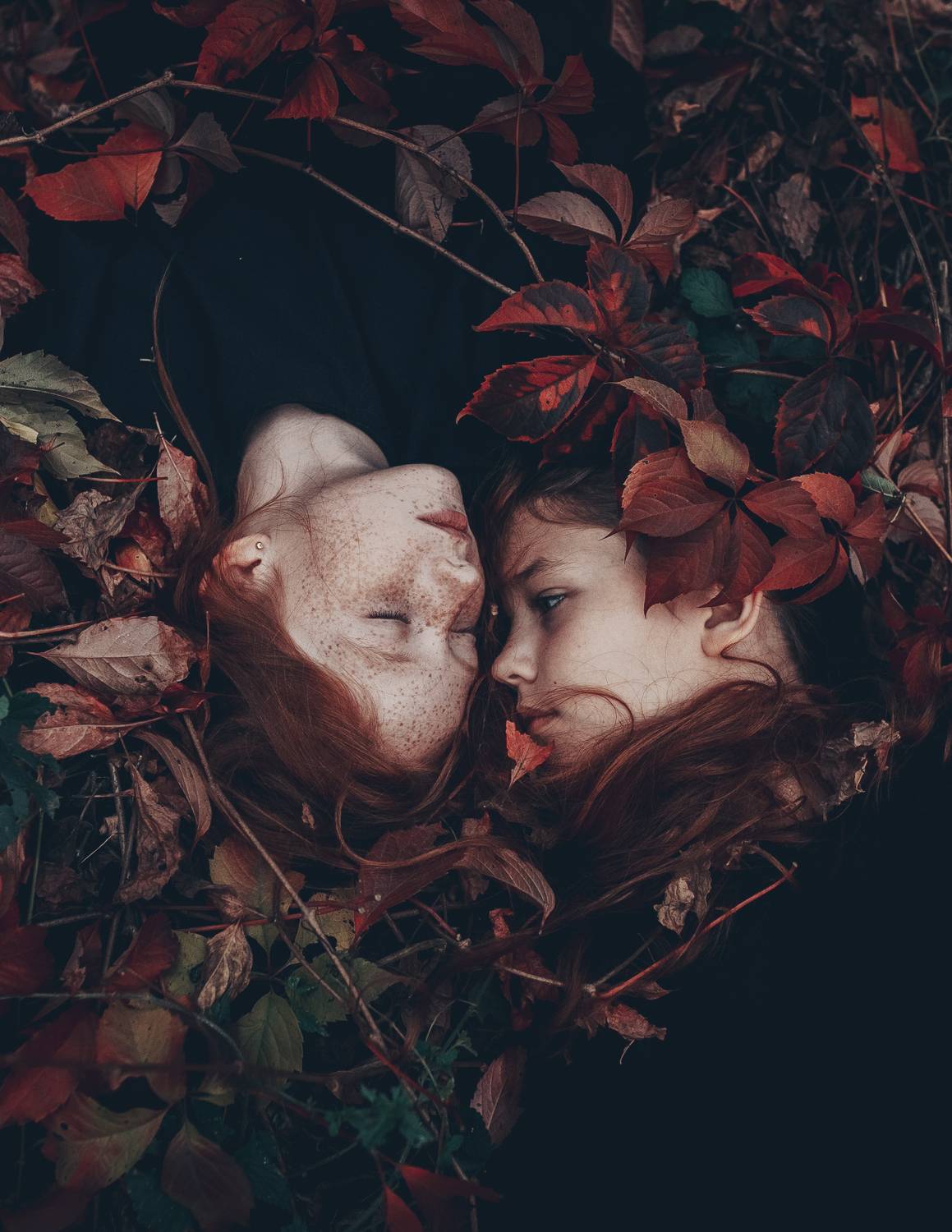 35mm, 4x5, 6x6, 6х6, 85mm, Art, Artnude, Ballerina, Ballet, Battur, Beautiful, Beauty, Canon, Canon 5D Mark III, Car, Color, Dance, Dress, Emotion, Eyes, Face, Flowers, Ganzo, Genre, GirlHair, Hero,LightLilac, Model, Mongol, Mongolia, Вероника Гергерт