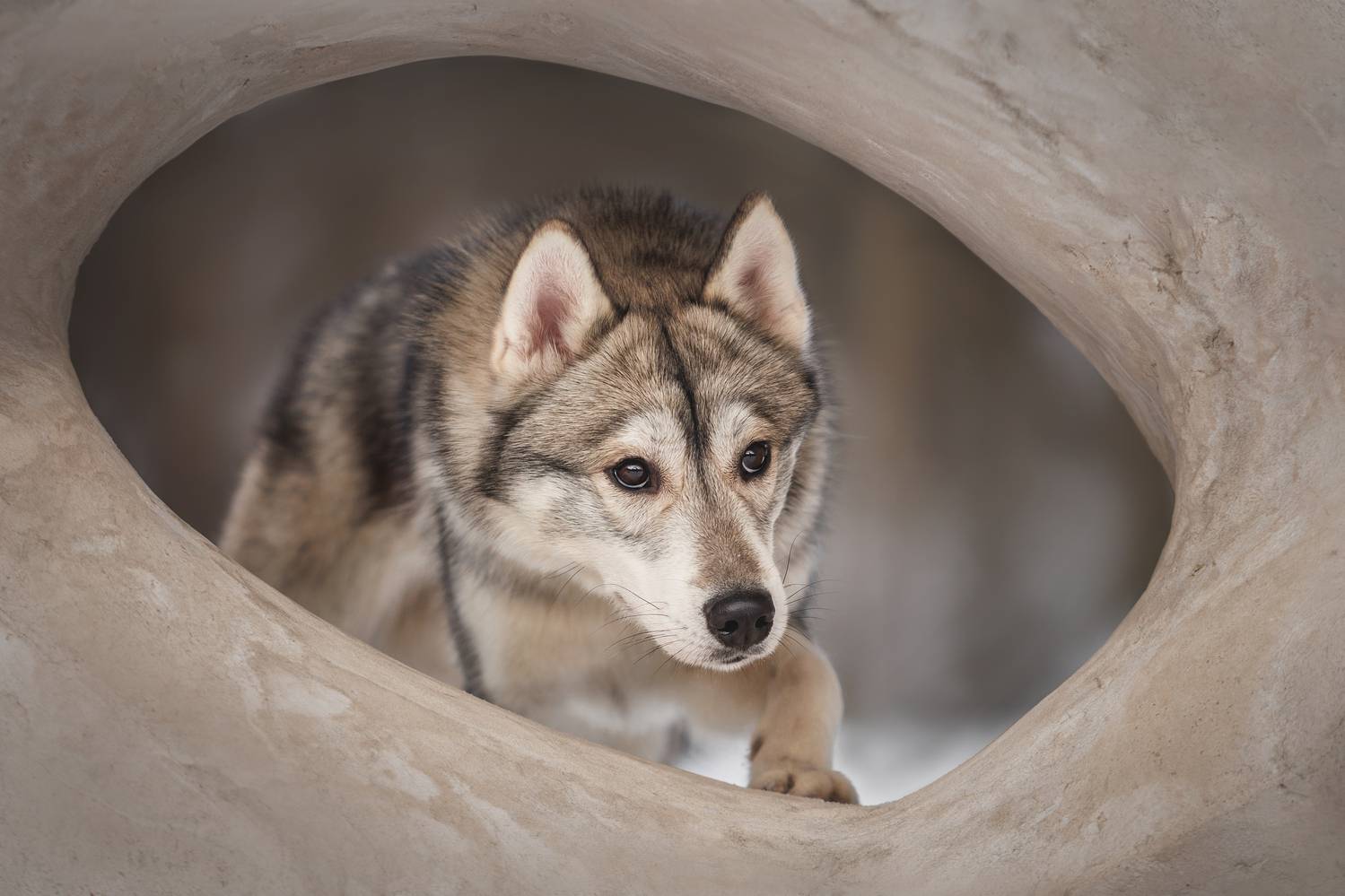 , Яна Нарбутович