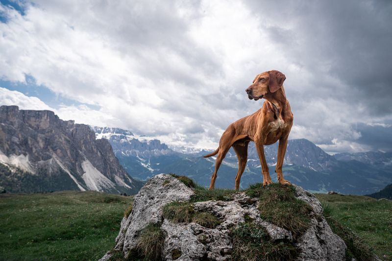 Emerging from the valley фото превью