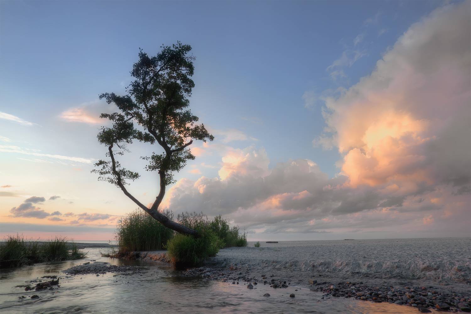 , Аседач Александр